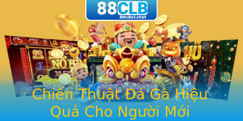 Chiến Thuật Đá Gà Hiệu Quả Cho Người Mới Chiến Thuật Đá Gà Hiệu Quả Cho Người Mới