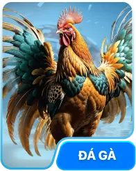 88CLB Dbjn – Link 88CLB.COM Chính Thức, Đăng Ký Tặng 88K! 23 Daga 88Clb