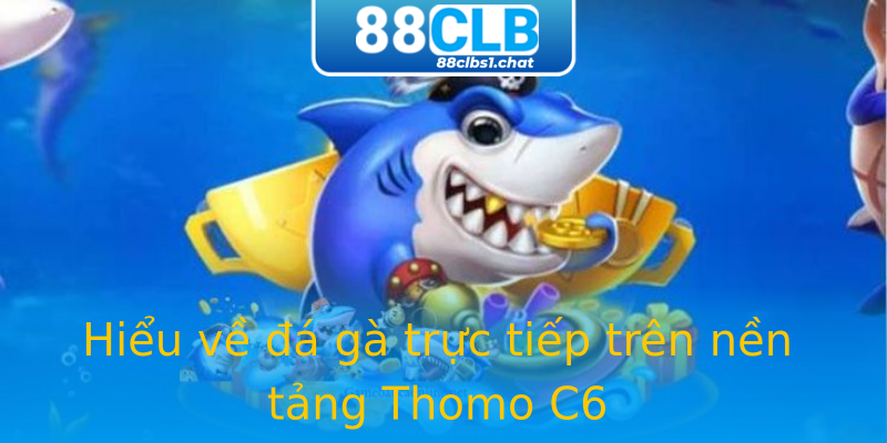 Hiểu về đá gà trực tiếp trên nền tảng Thomo C6 Hiểu về đá gà trực tiếp trên nền tảng Thomo C6