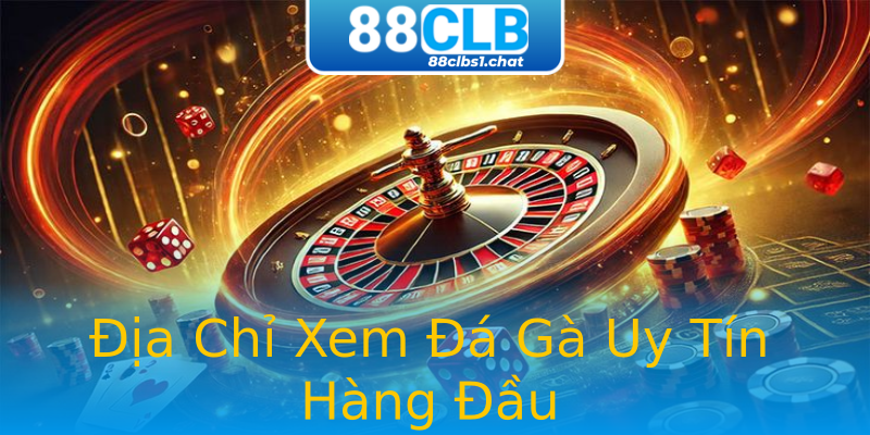 Địa Chỉ Xem Đá Gà Uy Tín Hàng Đầu Địa Chỉ Xem Đá Gà Uy Tín Hàng Đầu