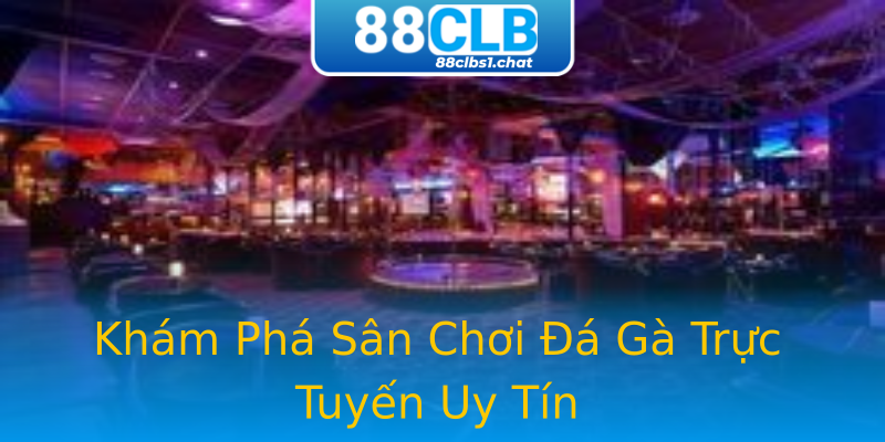 Khám Phá Sân Chơi Đá Gà Trực Tuyến Uy Tín Khám Phá Sân Chơi Đá Gà Trực Tuyến Uy Tín