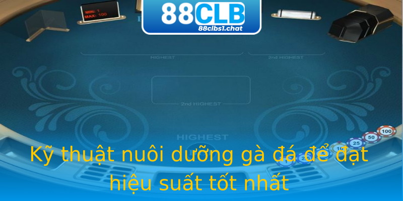 Kỹ thuật nuôi dưỡng gà đá để đạt hiệu suất tốt nhất Kỹ thuật nuôi dưỡng gà đá để đạt hiệu suất tốt nhất