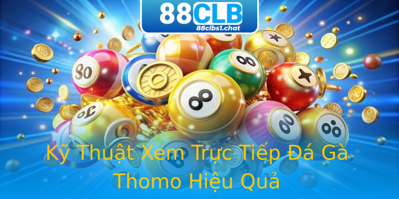 Kỹ Thuật Xem Trực Tiếp Đá Gà Thomo Hiệu Quả